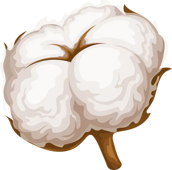 Cotton Decorative 1