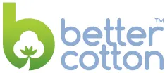 BCI logo